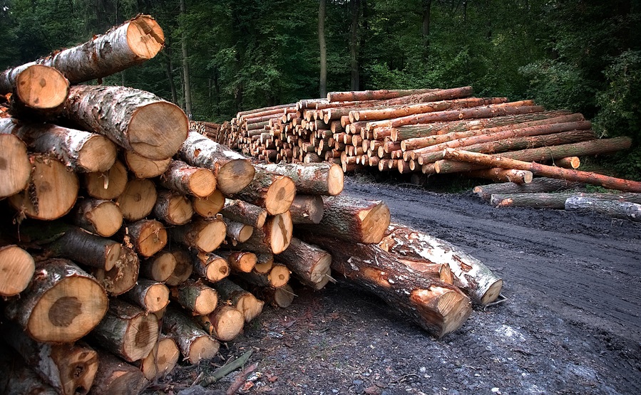 Trä som hållbart material i heminredning